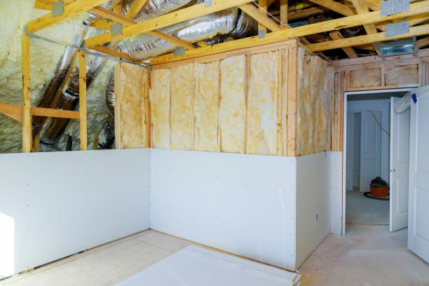 Best Insulation Contractors for Homes  in Ridge Wood Heights, FL