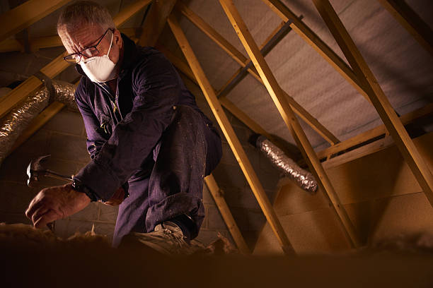  Ridge Wood Heights, FL Insulation Contractor Pros